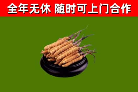工农区烟酒回收冬虫夏草.jpg