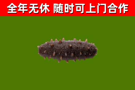 工农区烟酒回收干海参.jpg